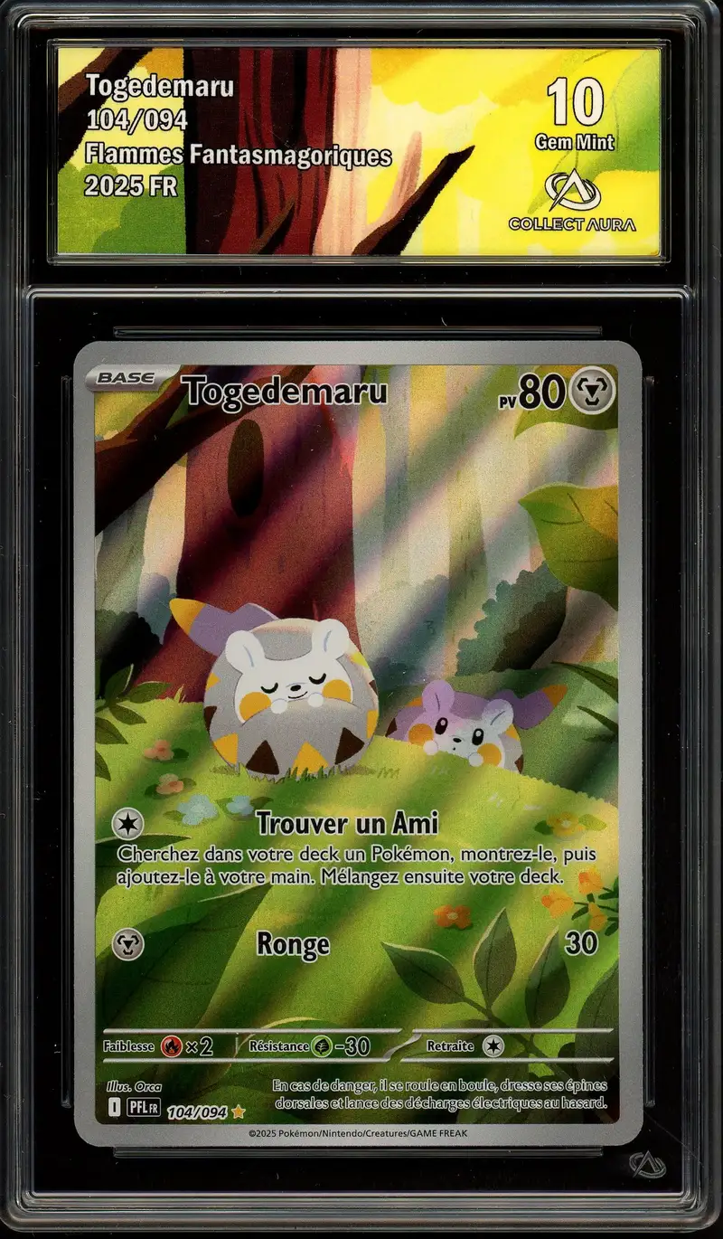 CA 10 Togedemaru
