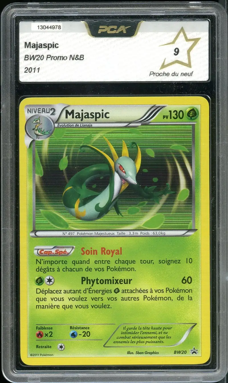 PCA 9 Majaspic Holo