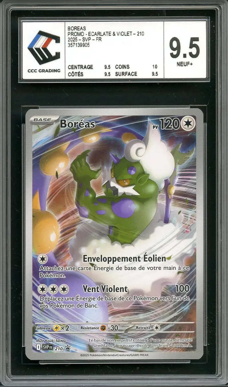 CCC 9.5 Boréas
