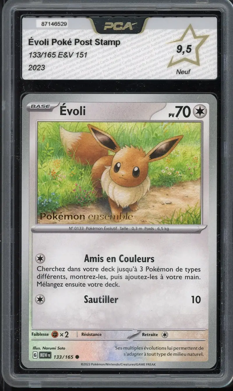 PCA 9.5 Evoli Poke Post Pop-Up Exclusive