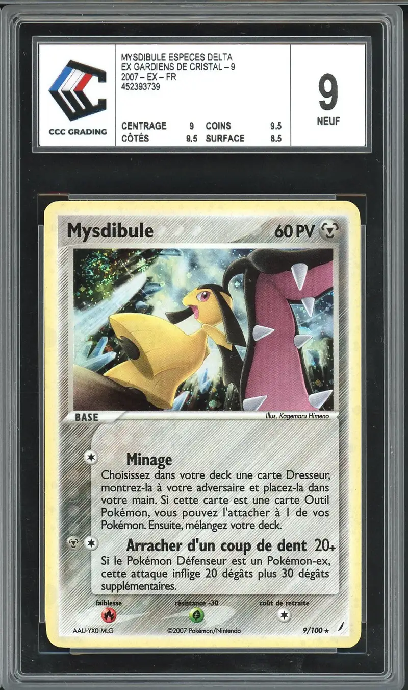 CCC 9 Mysdibule Holo
