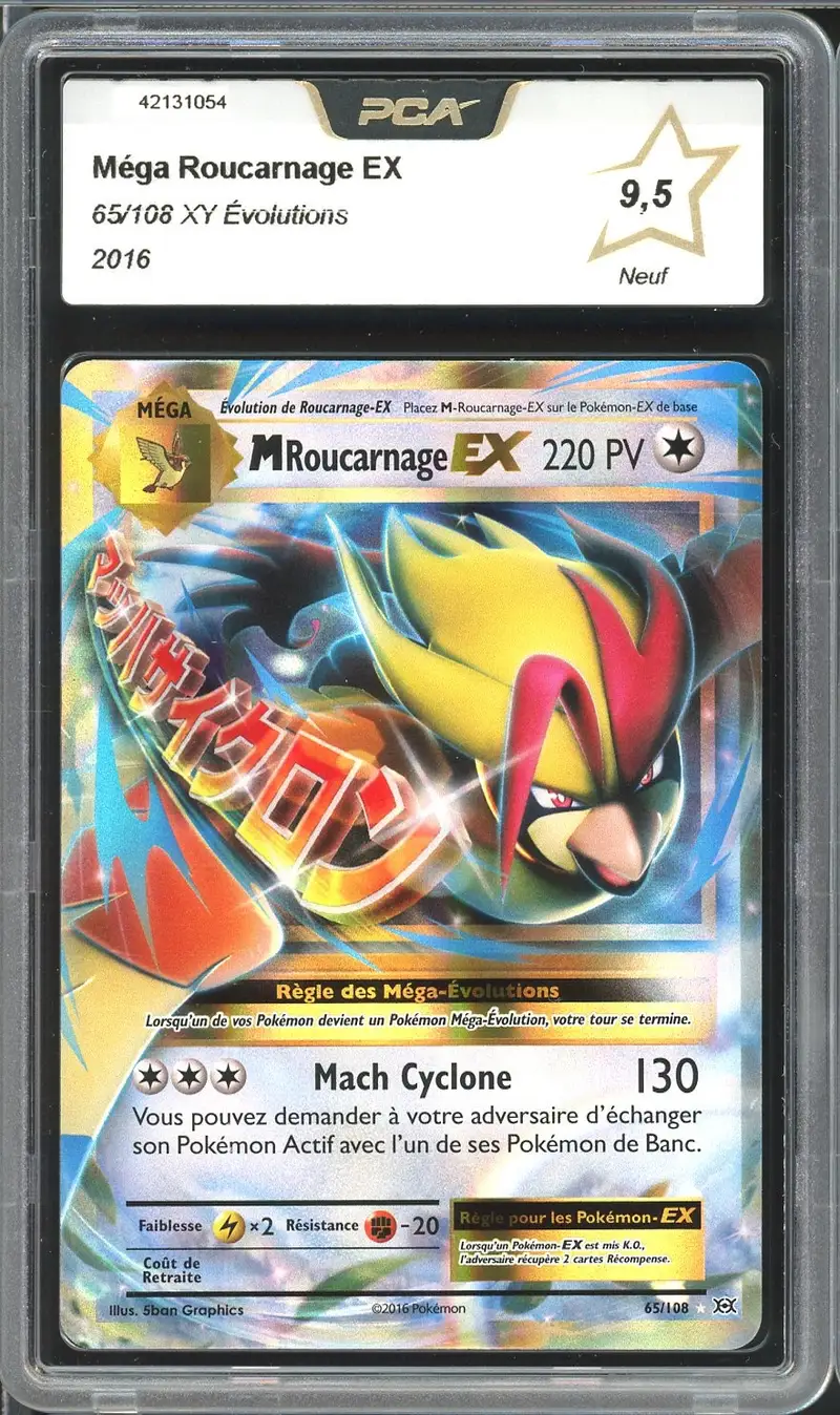 PCA 9.5 Méga Roucarnage Ex