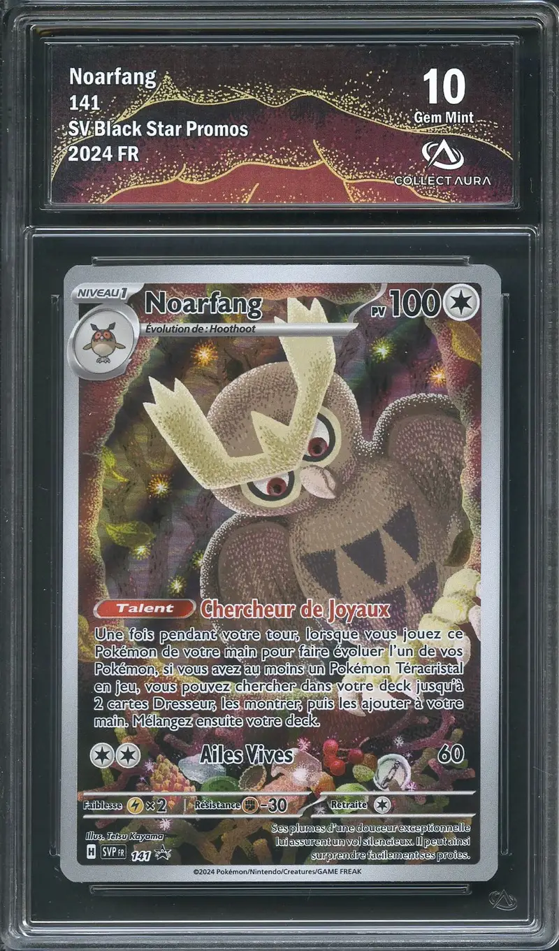 CA 10 Noarfang