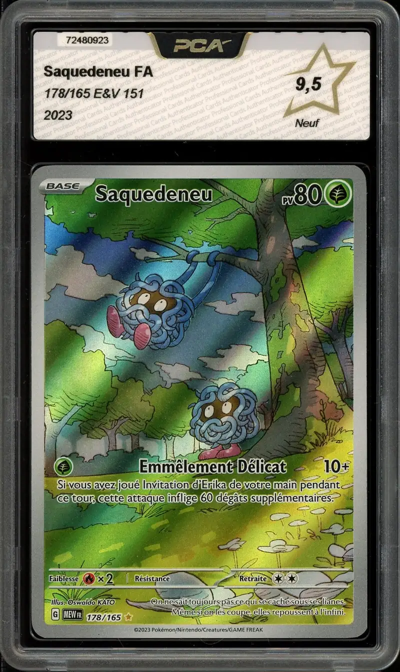 PCA 9.5 Saquedeneu
