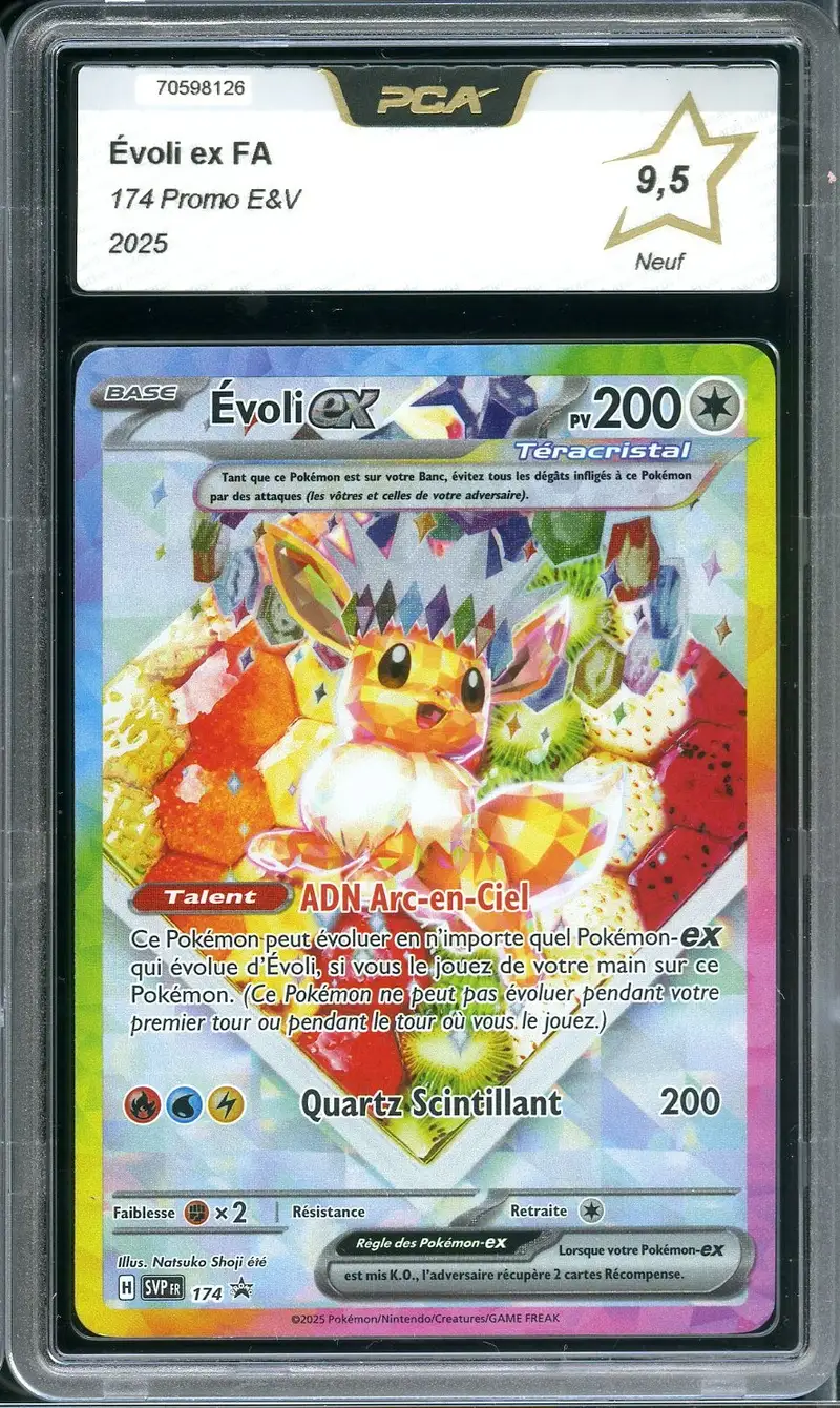 PCA 9.5 Evoli Ex