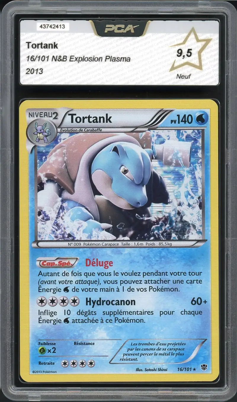 PCA 9.5 Tortank Holo