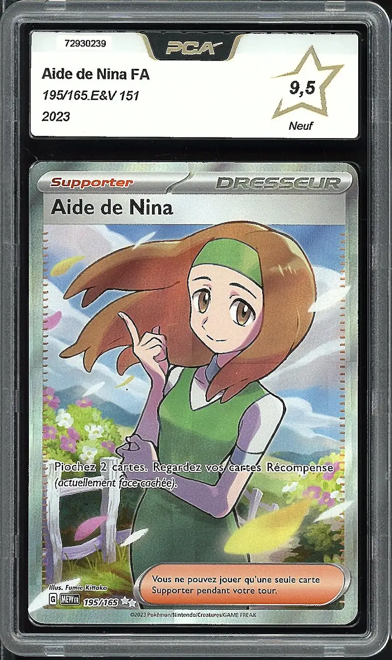 PCA 9.5 Aide de Nina
