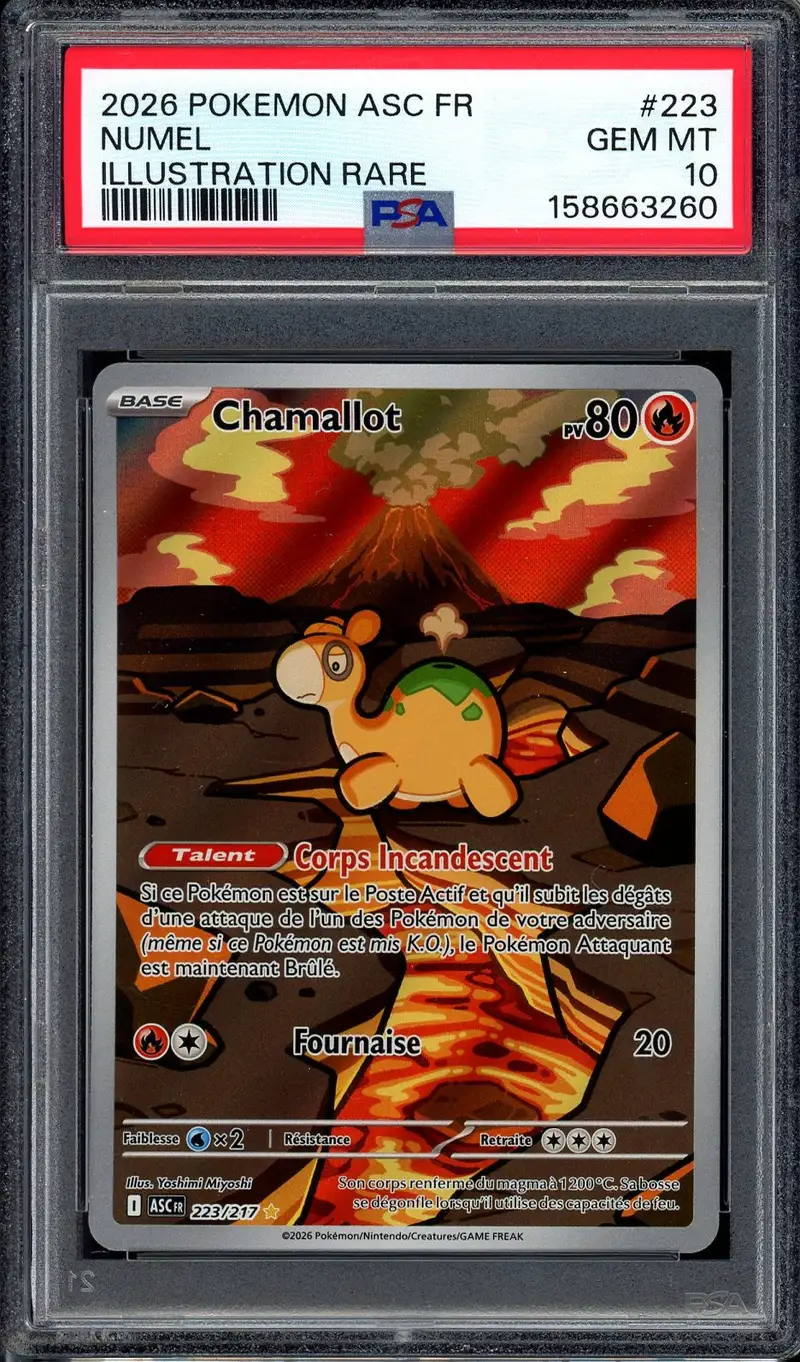 PSA 10 Chamallot