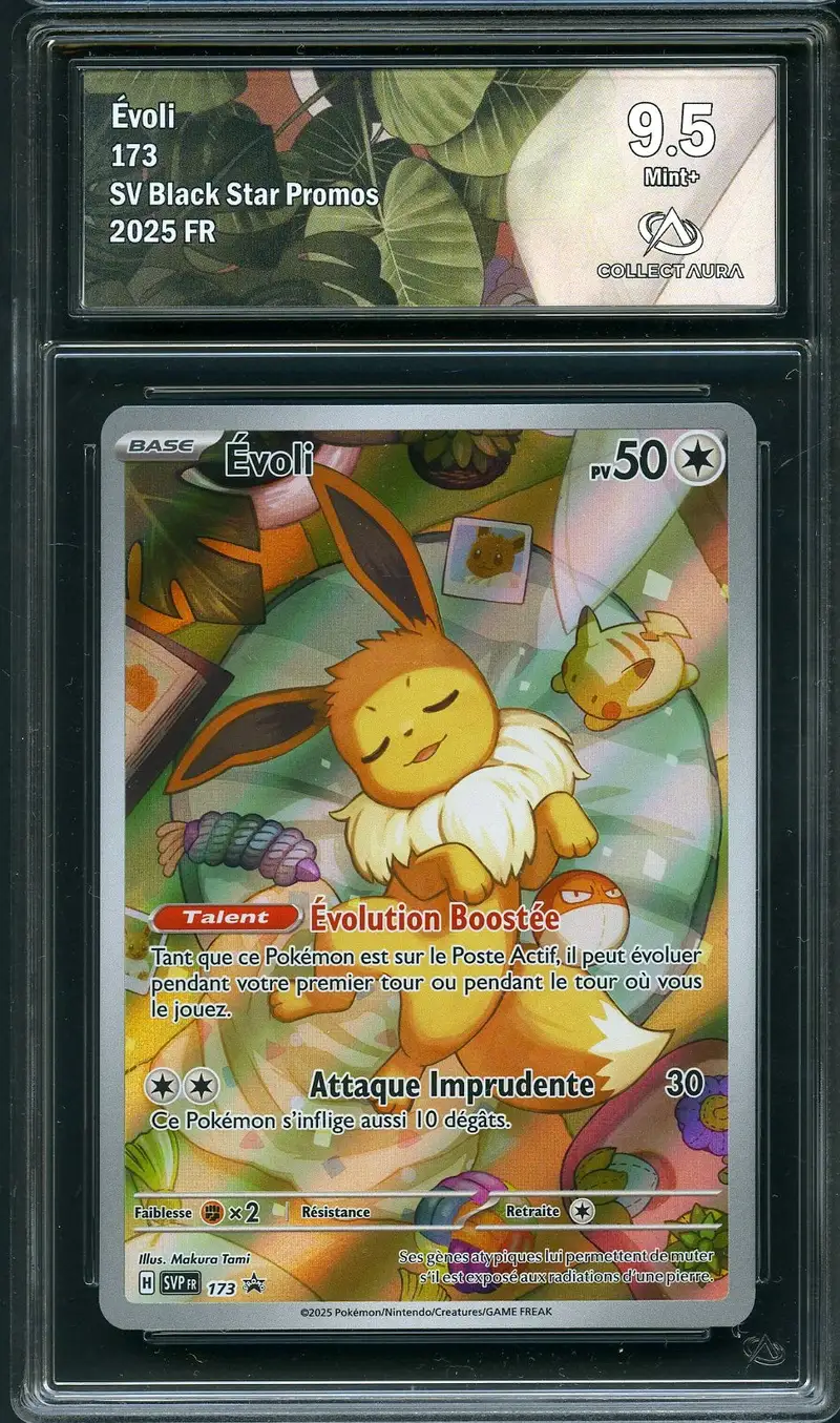 CA 9.5 Evoli