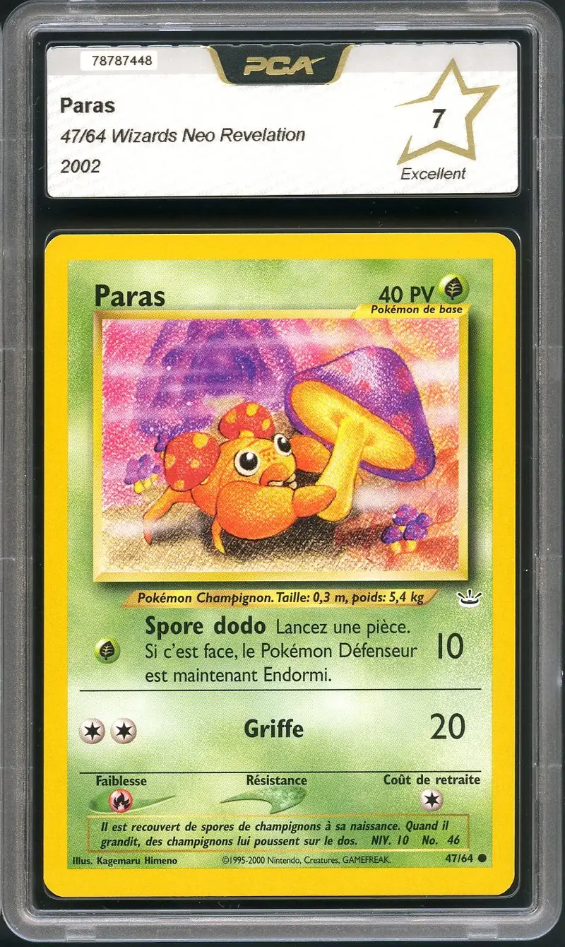 PCA 7 Paras