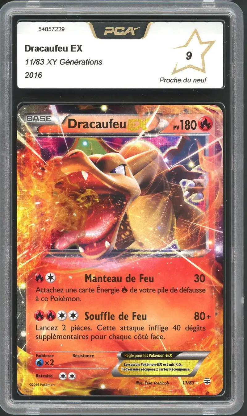 PCA 9 Dracaufeu Ex