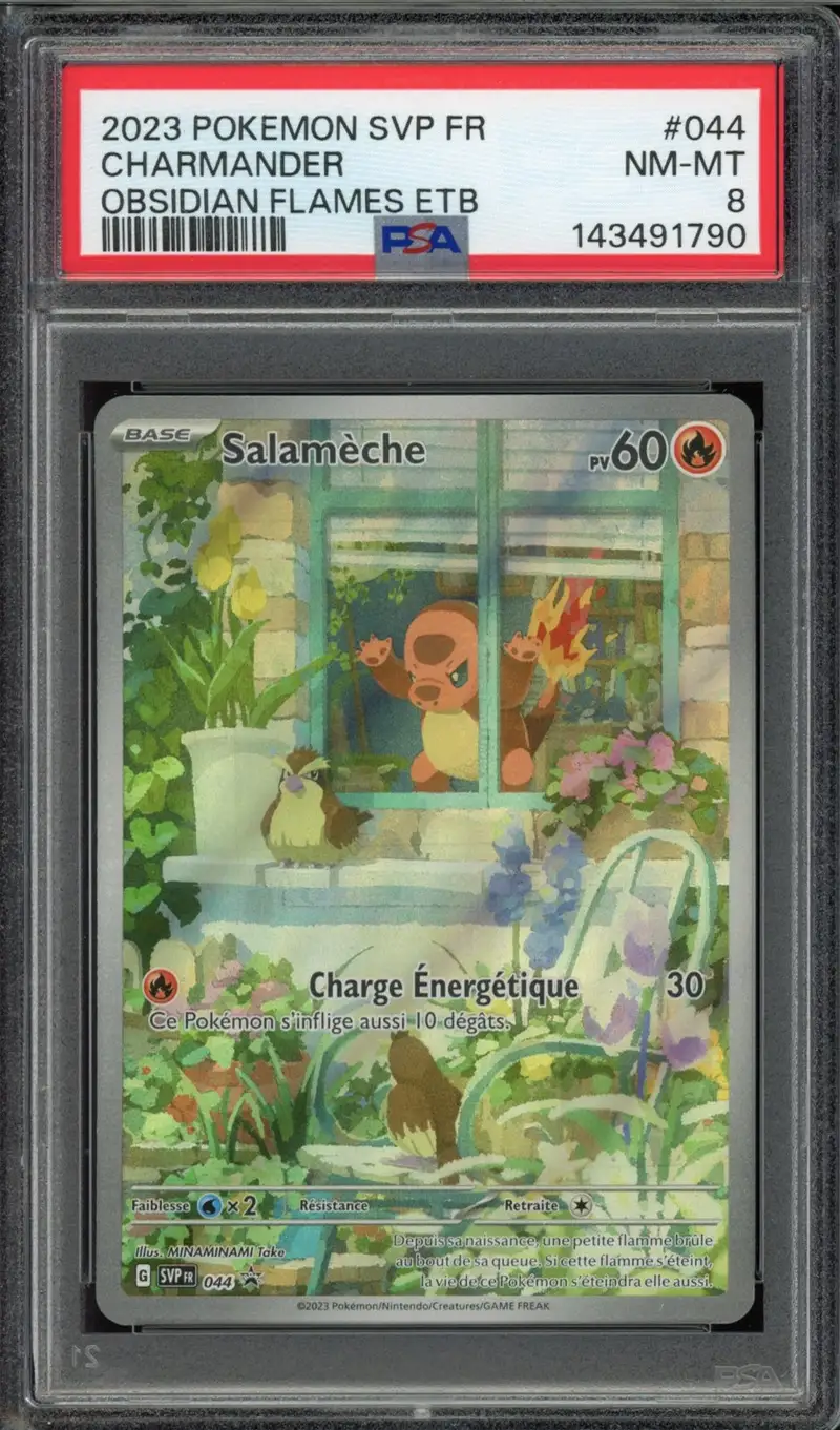 PSA 8 Salamèche