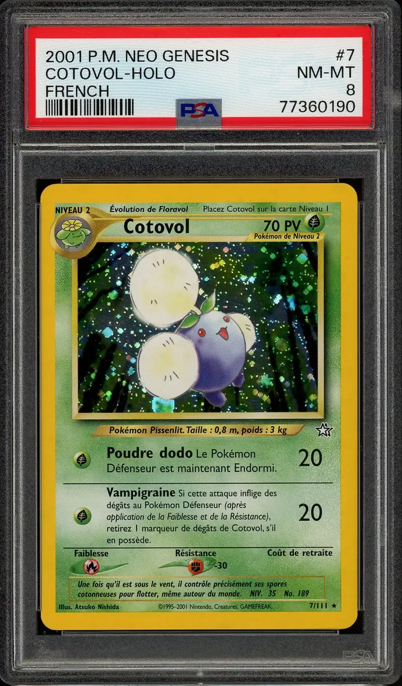 PSA 8 Cotovol Holo