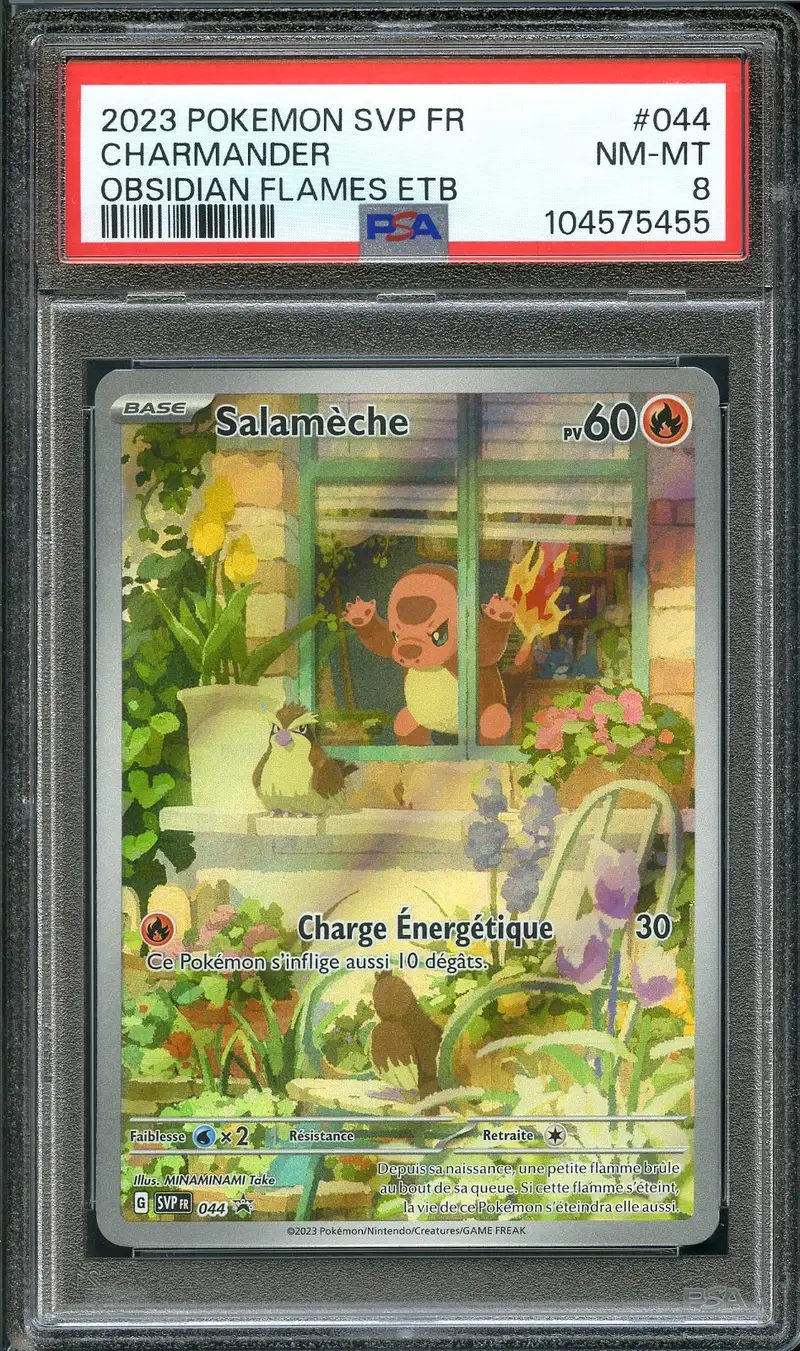 PSA 8 Salamèche