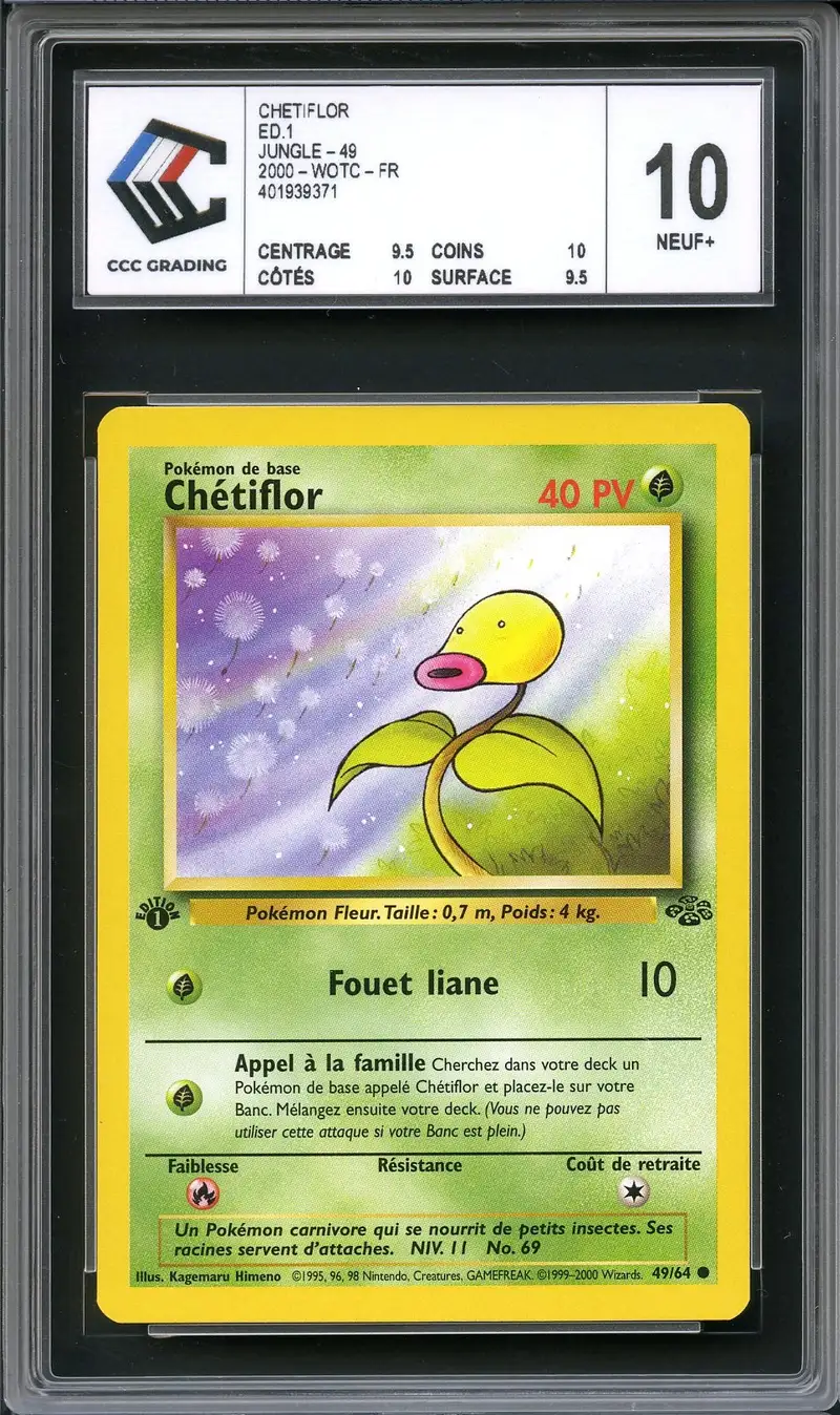CCC 10 Chétiflor