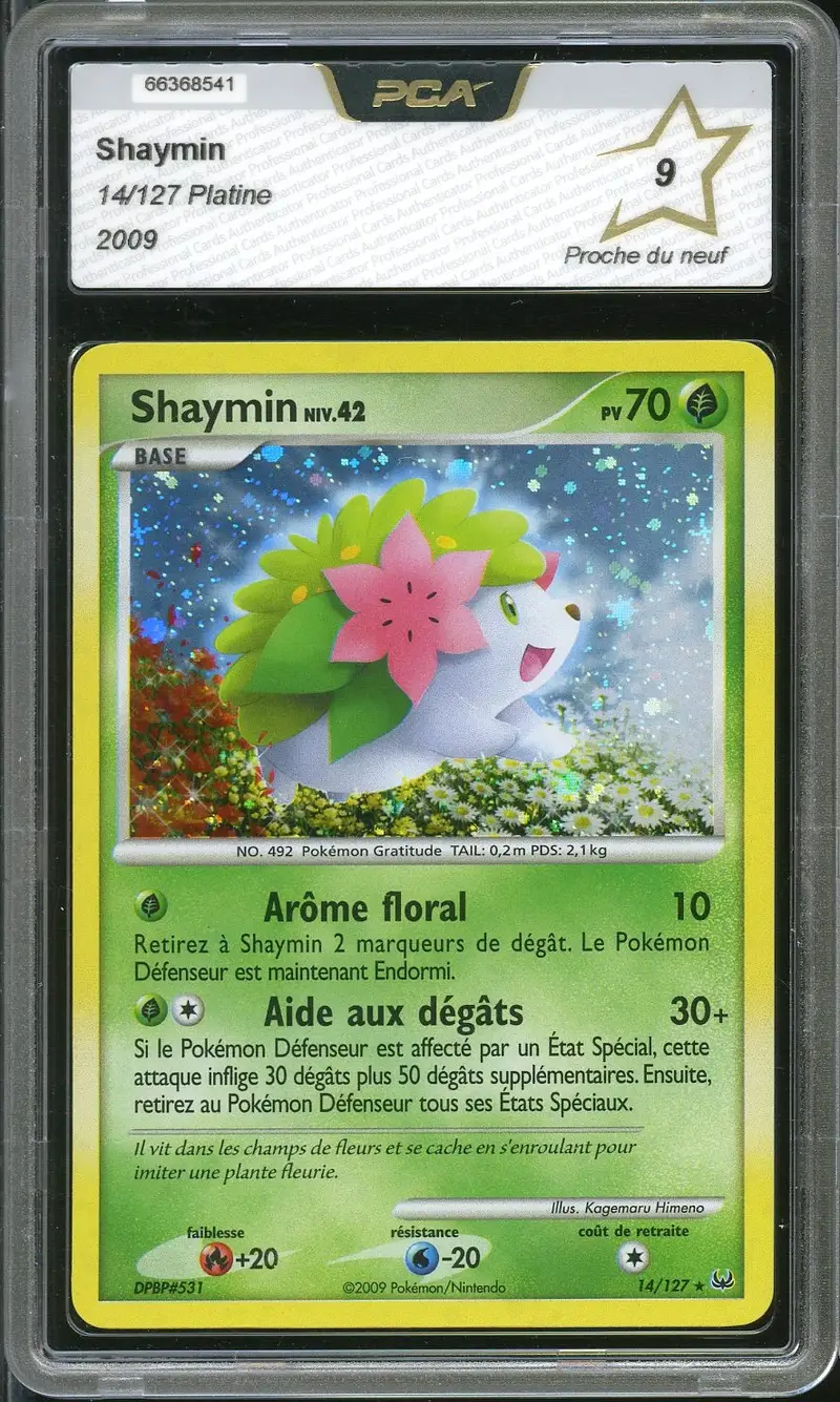 PCA 9 Shaymin Holo