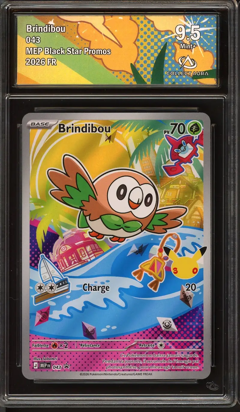 CA 9.5 Brindibou