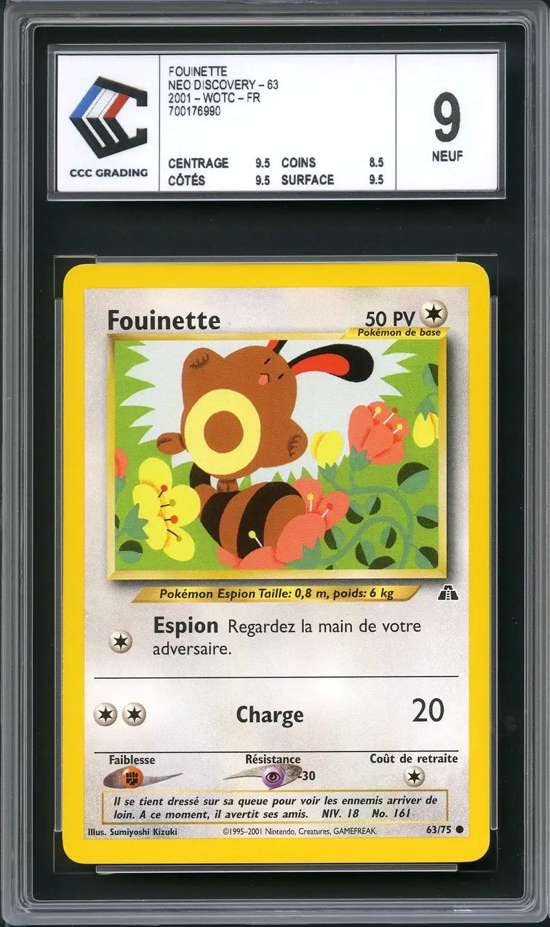CCC 9 Fouinette