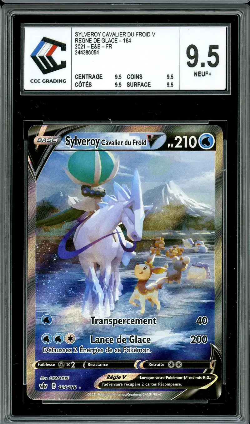 CCC 9.5 Sylveroy Cavalier du Froid V