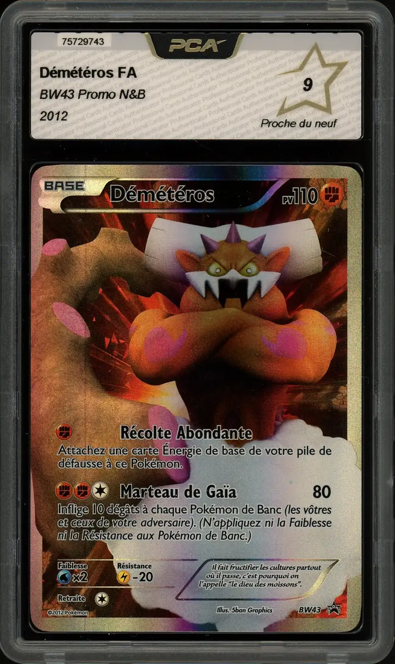 PCA 9 Démétéros