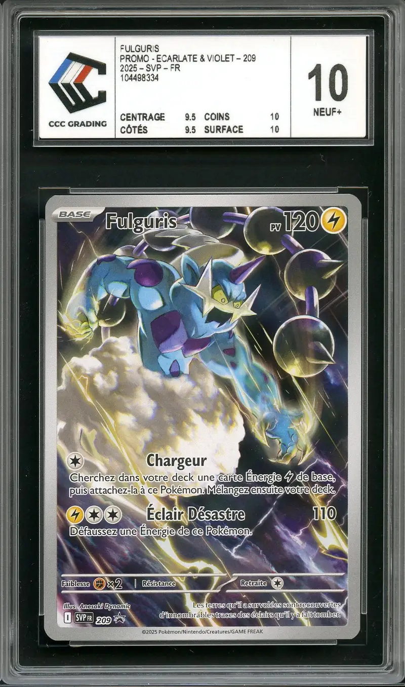 CCC 10 Fulguris
