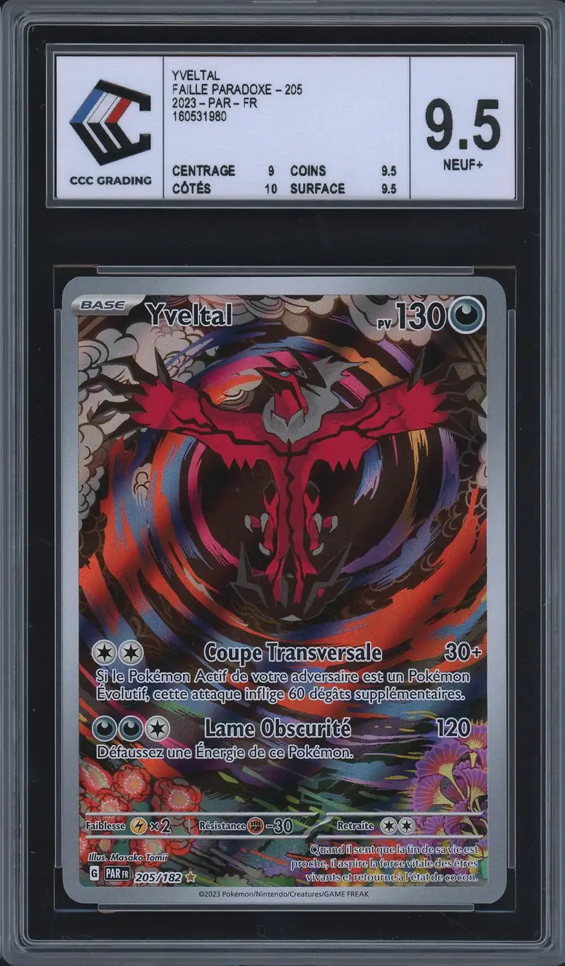 CCC 9.5 Yveltal