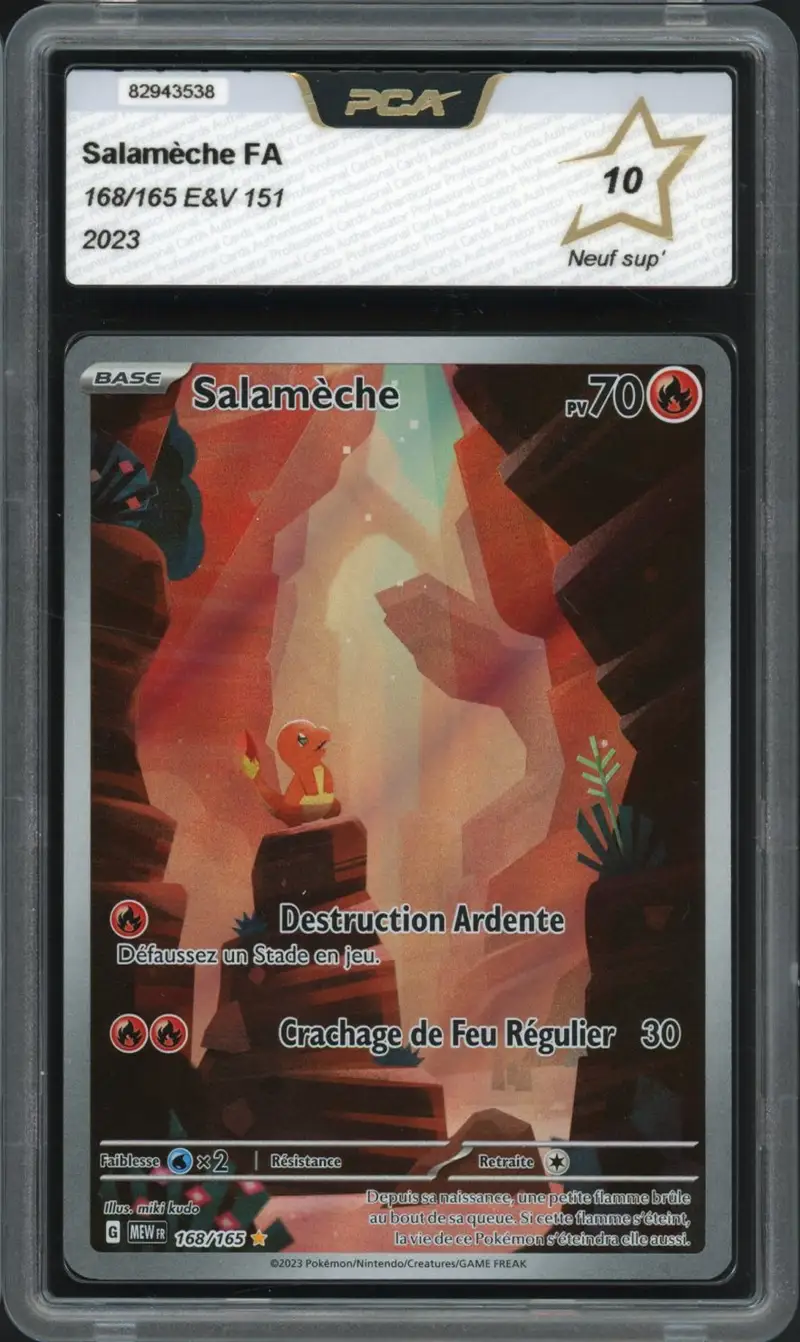 PCA 10 Salamèche