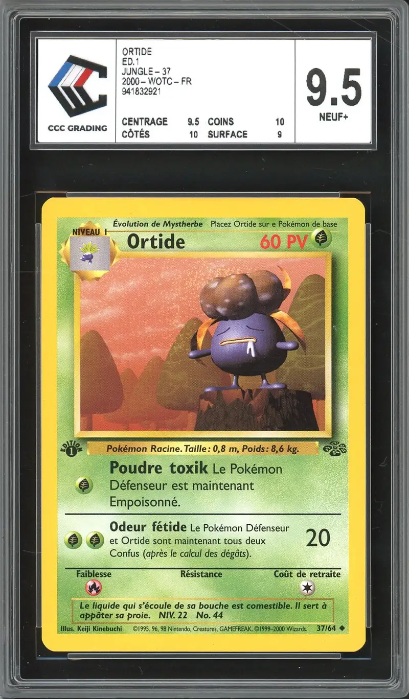 CCC 9.5 Ortide