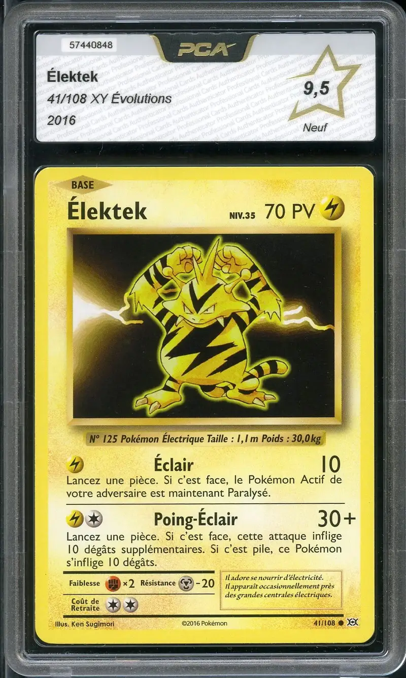 PCA 9.5 Elektek