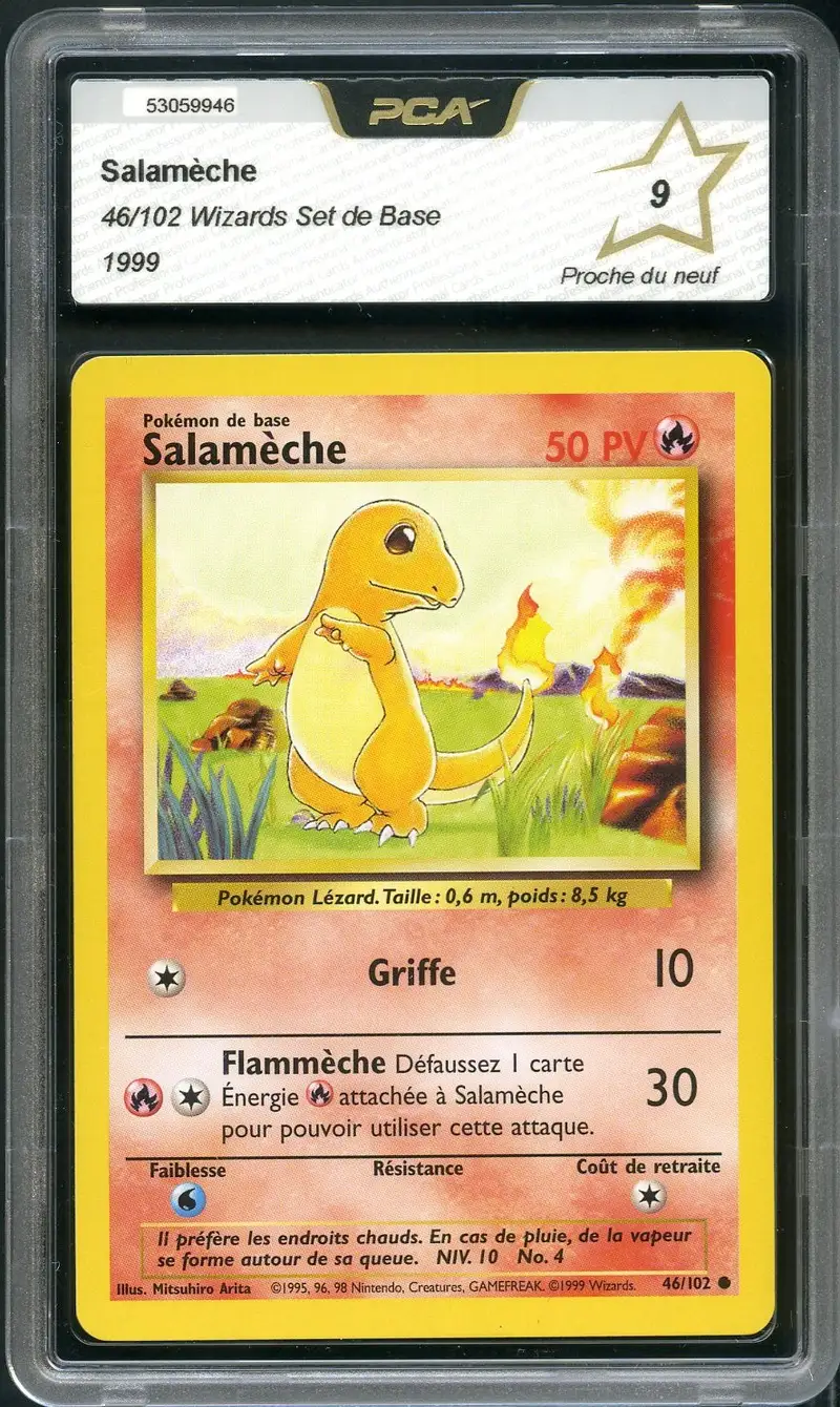 PCA 9 Salamèche