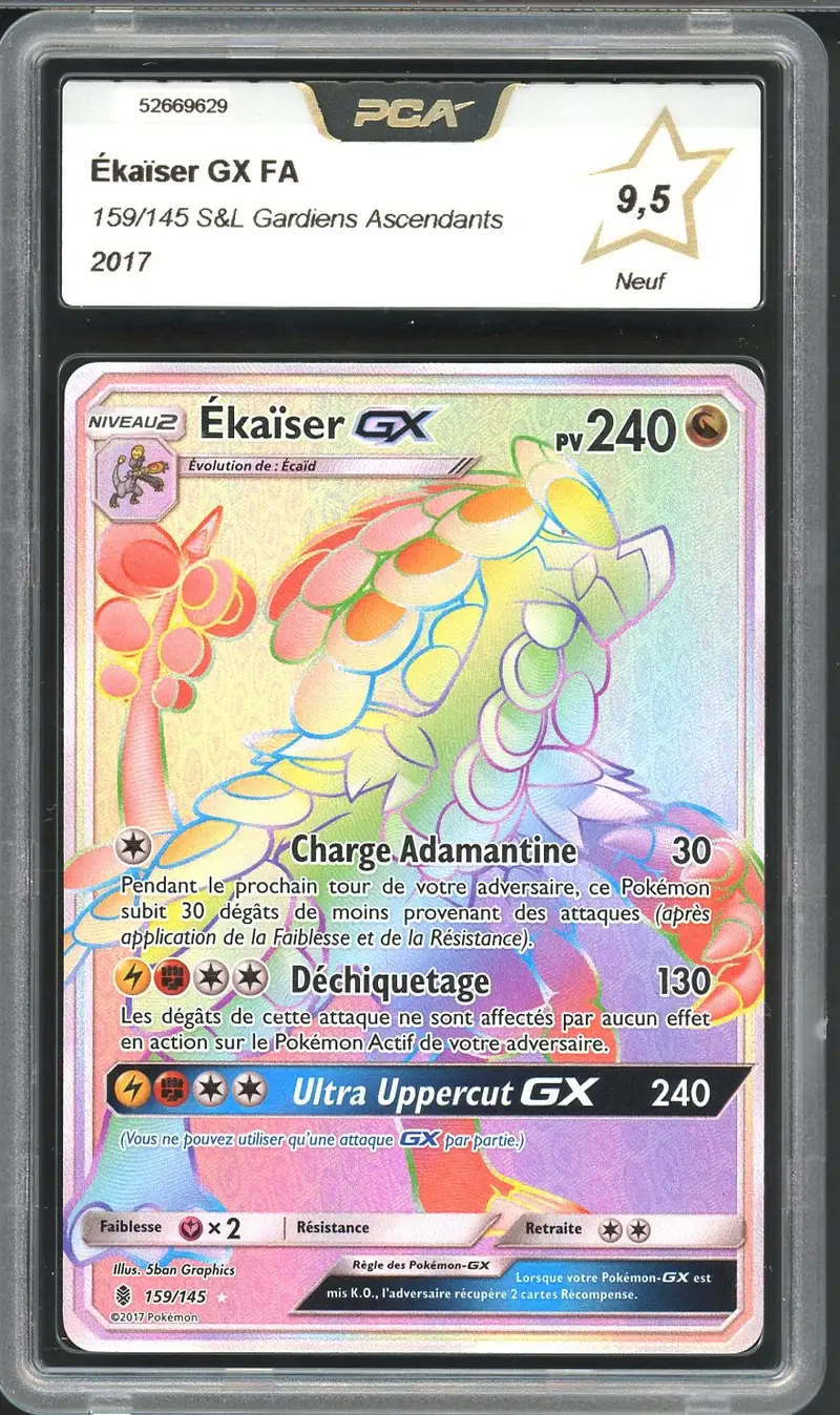 PCA 9.5 Ekaïser Gx Rainbow