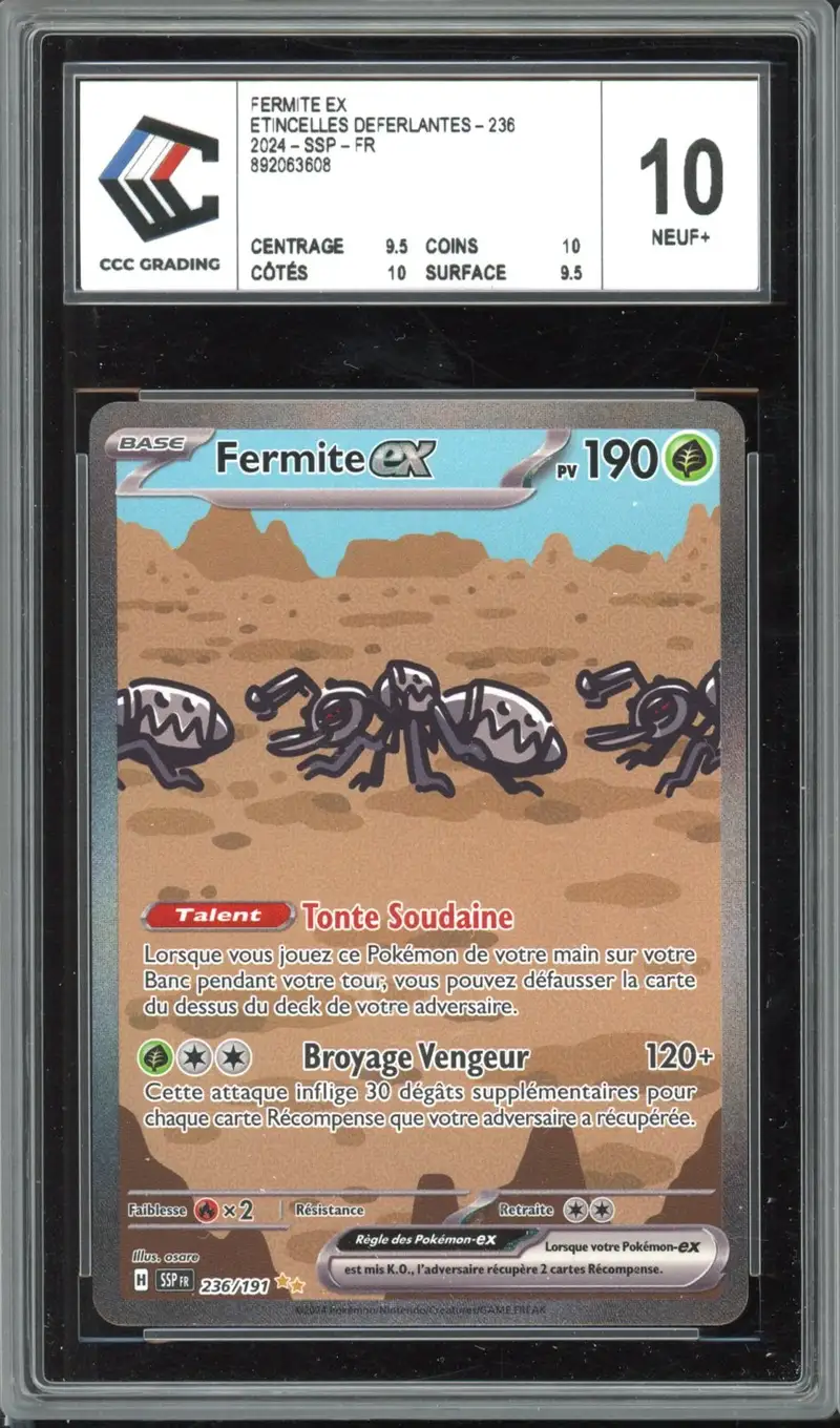 CCC 10 Fermite Ex
