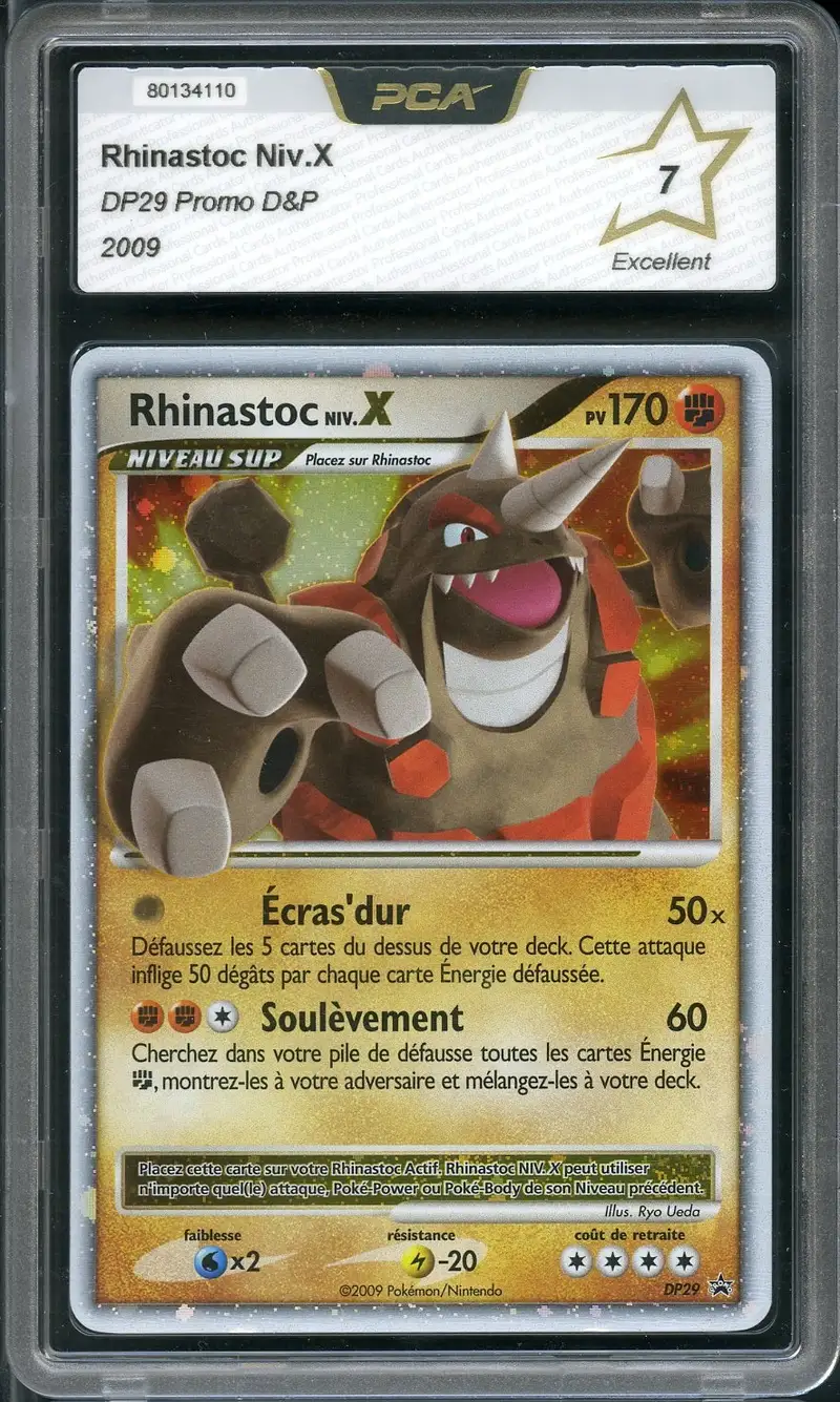 PCA 7 Rhinastoc Niv. X