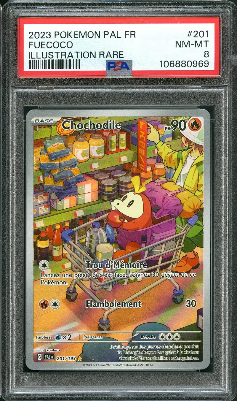 PSA 8 Chochodile