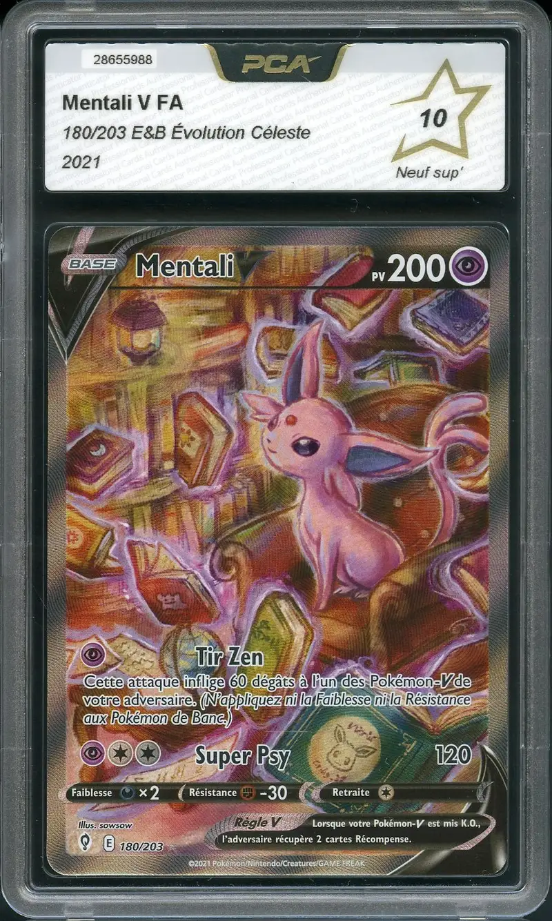 PCA 10 Mentali V