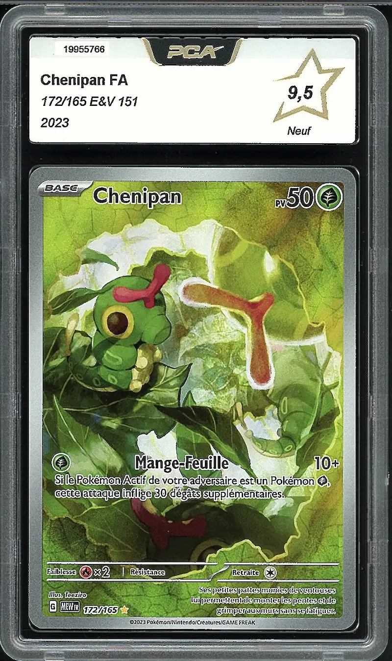 PCA 9.5 Chenipan