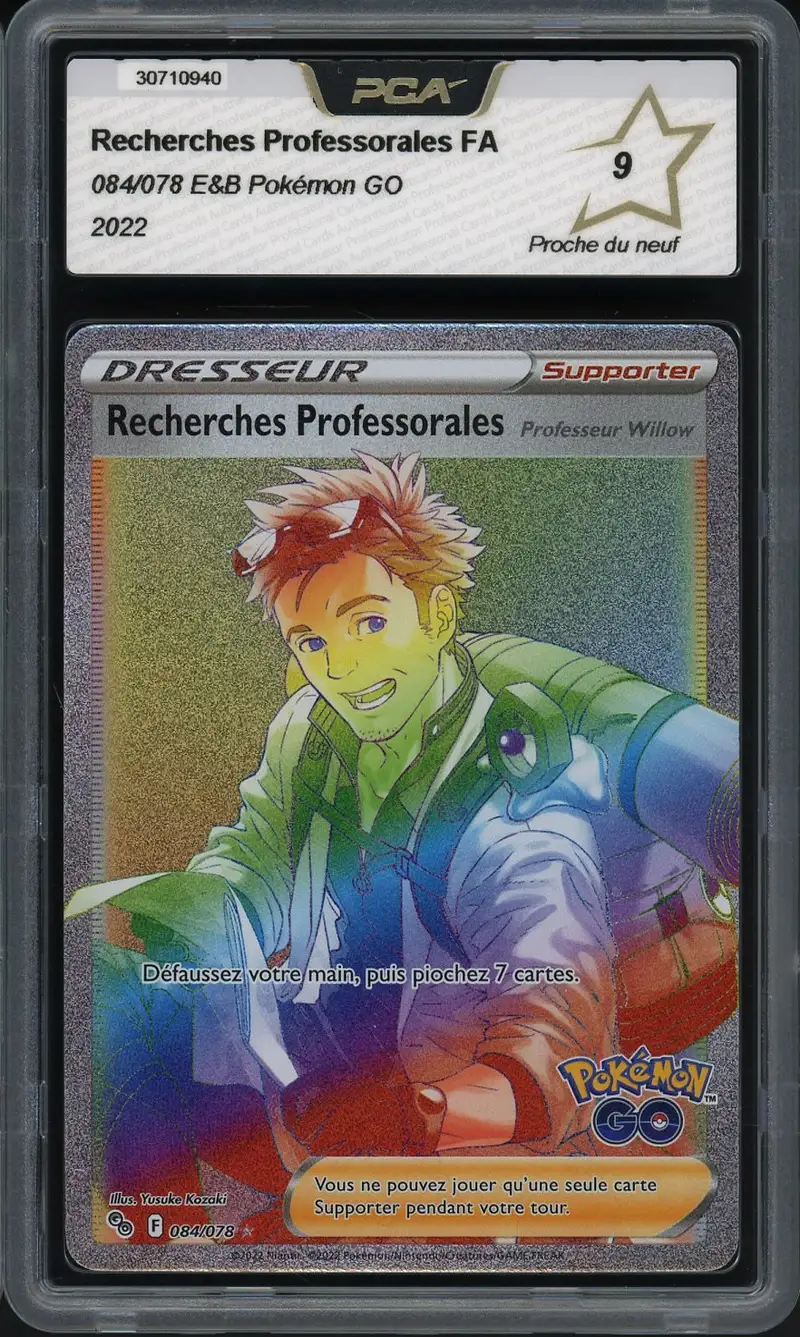 PCA 9 Recherches Professorales Professeur Willow Rainbow