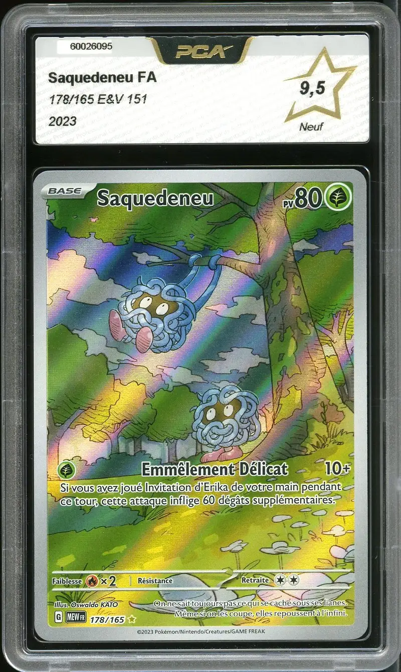 PCA 9.5 Saquedeneu