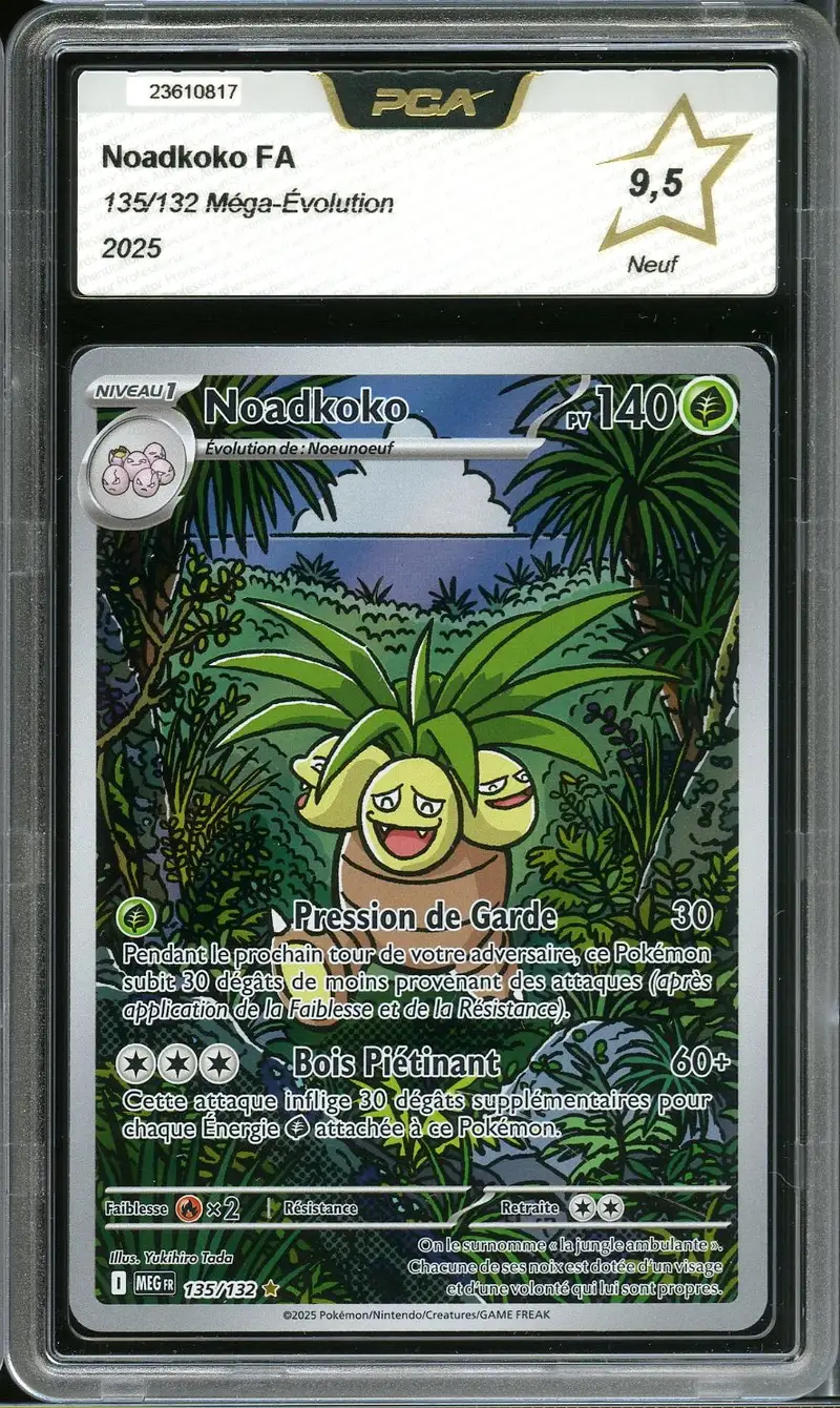 PCA 9.5 Noadkoko