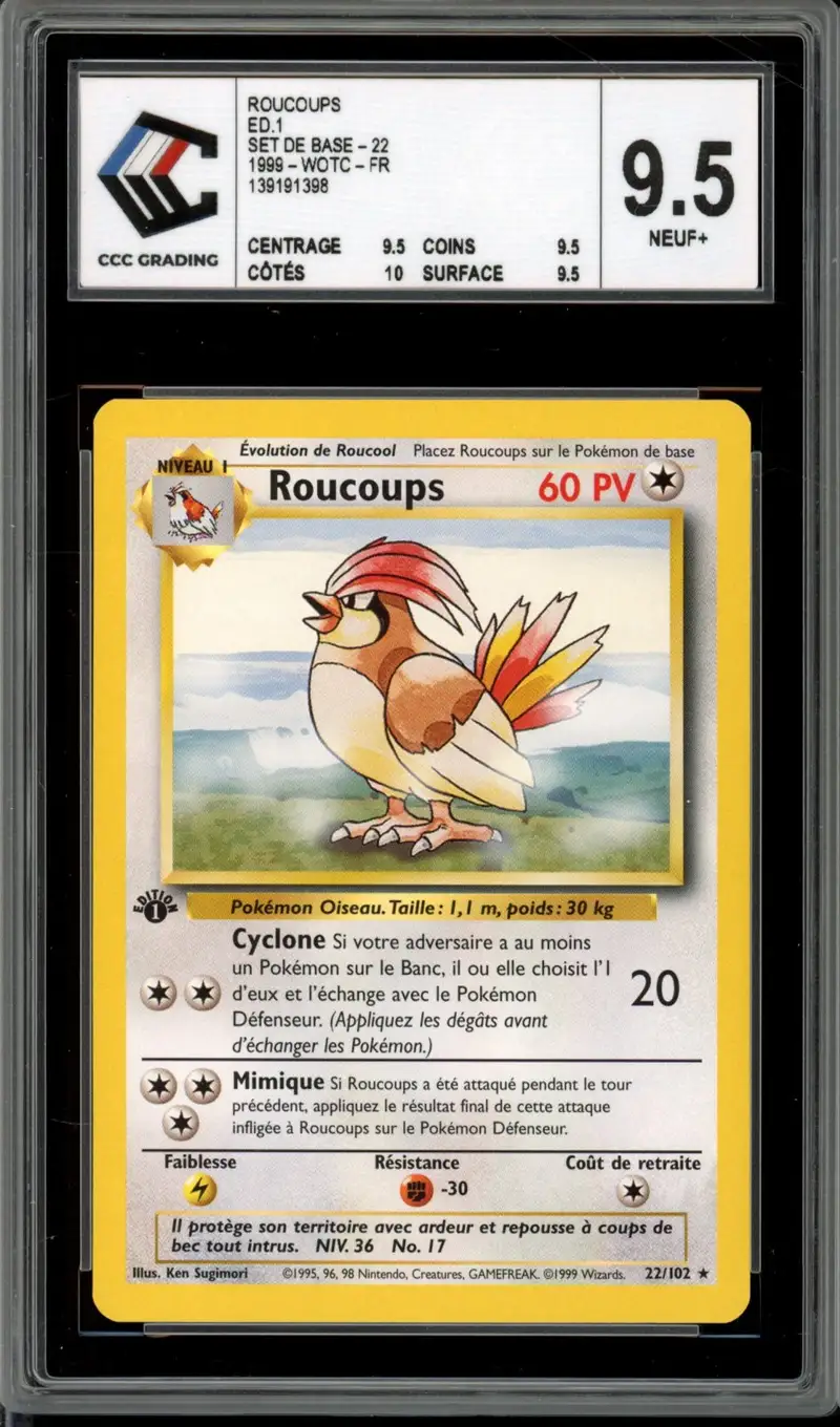 CCC 9.5 Roucoups