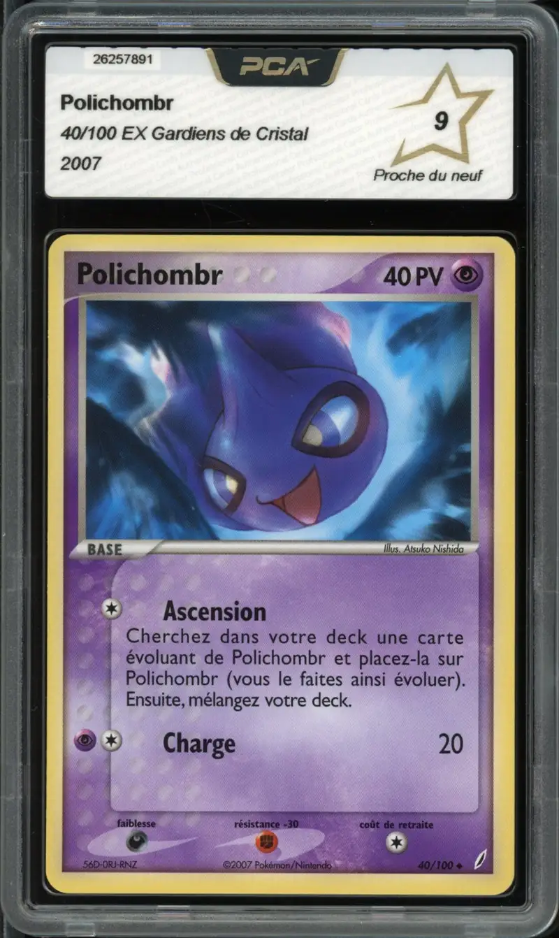 PCA 9 Polichombr
