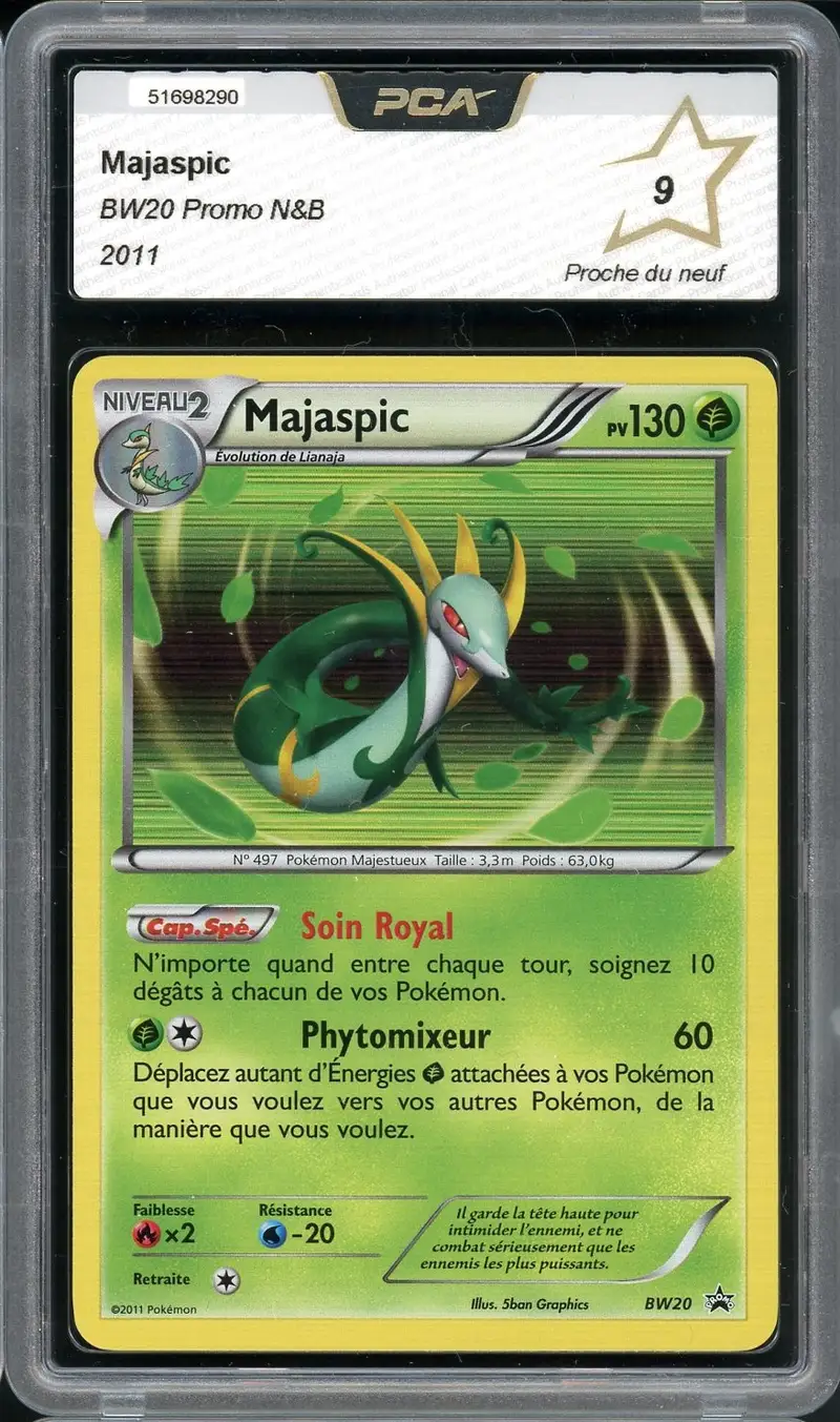 PCA 9 Majaspic Holo