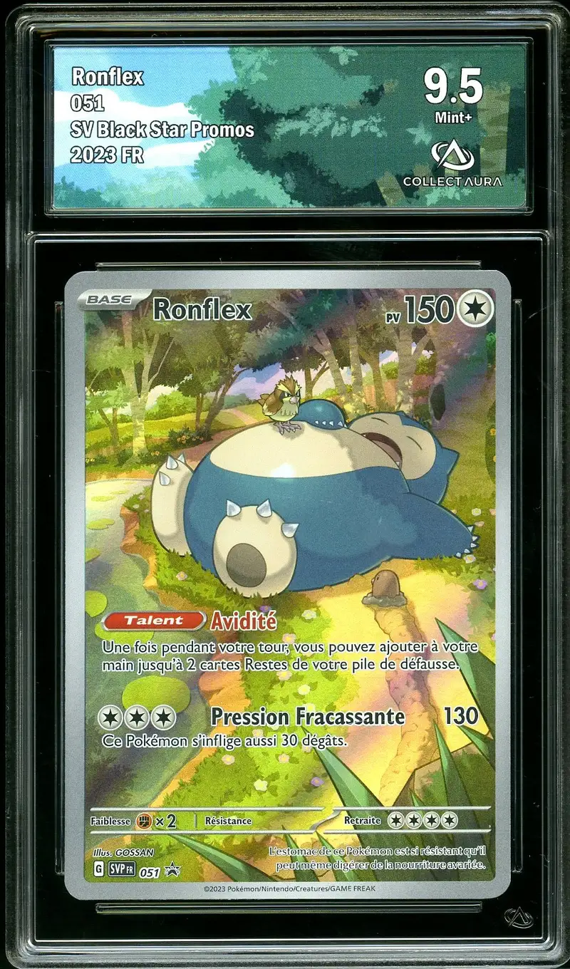 CA 9.5 Ronflex