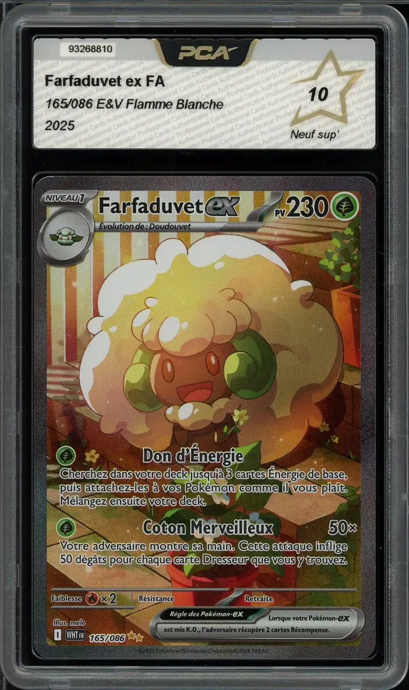 PCA 10 Farfaduvet Ex
