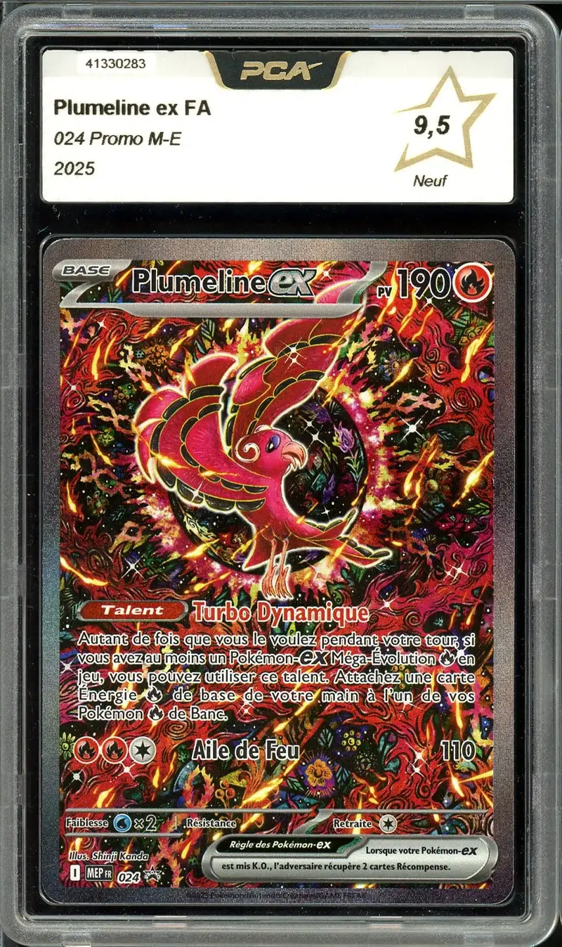 PCA 9.5 Plumeline Ex