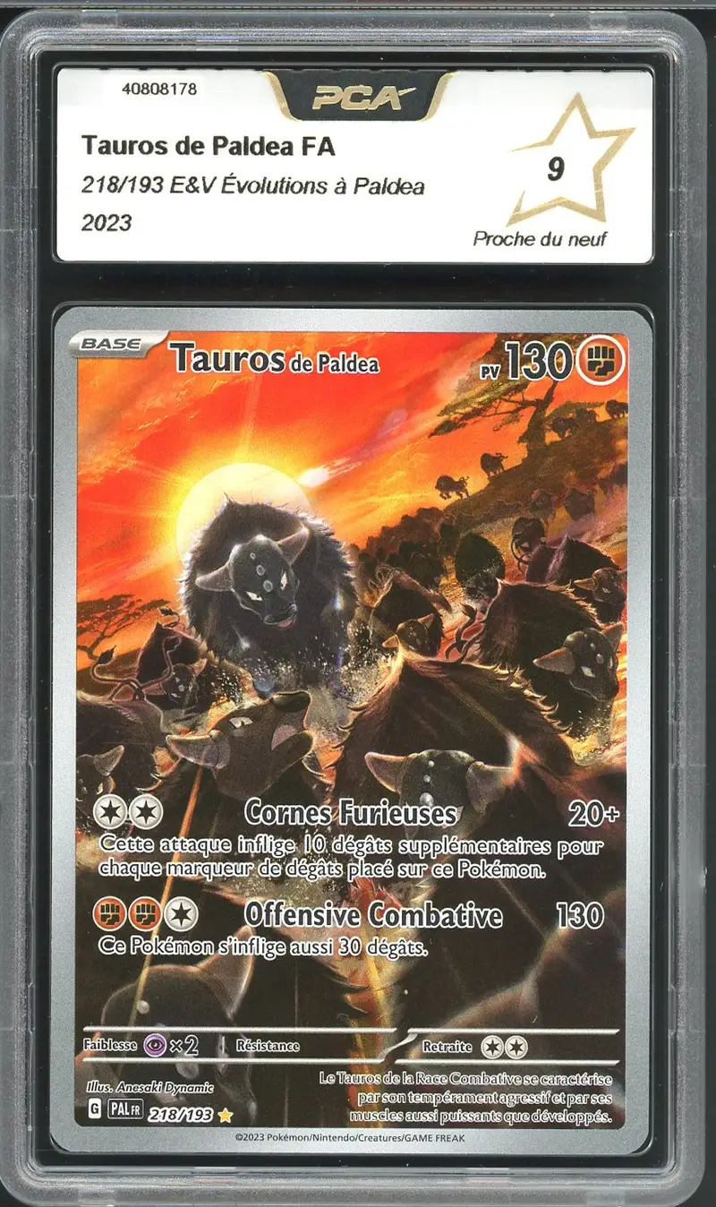 PCA 9 Tauros de Paldea
