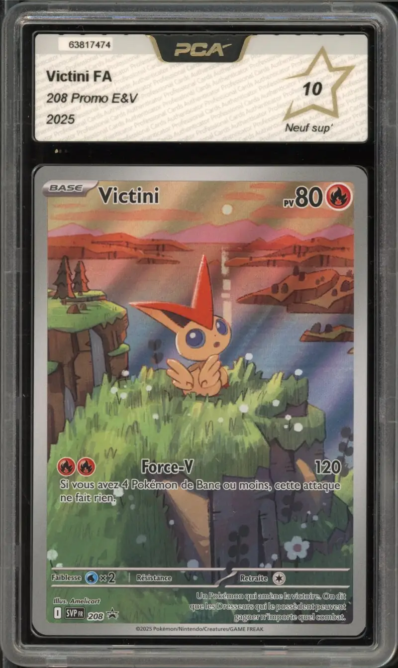 PCA 10 Victini