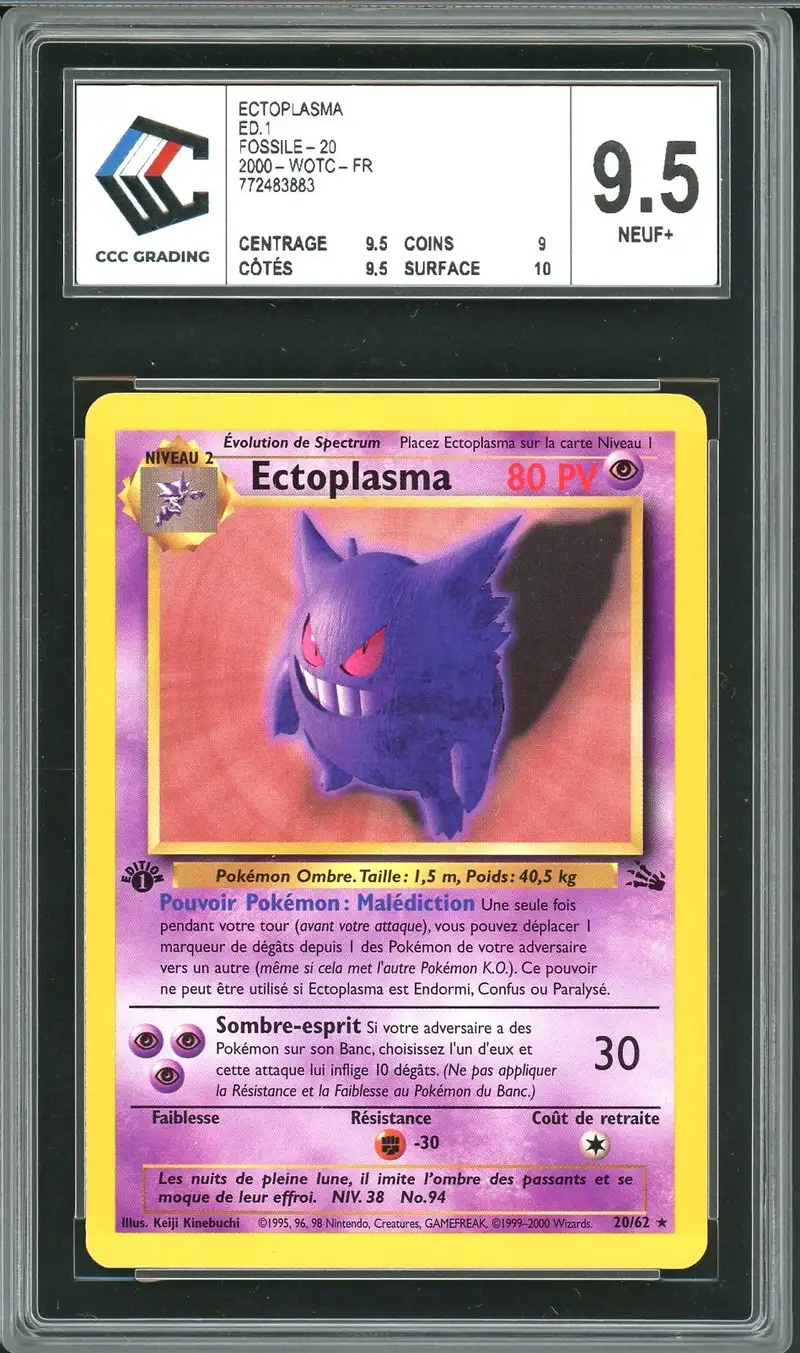 CCC 9.5 Ectoplasma