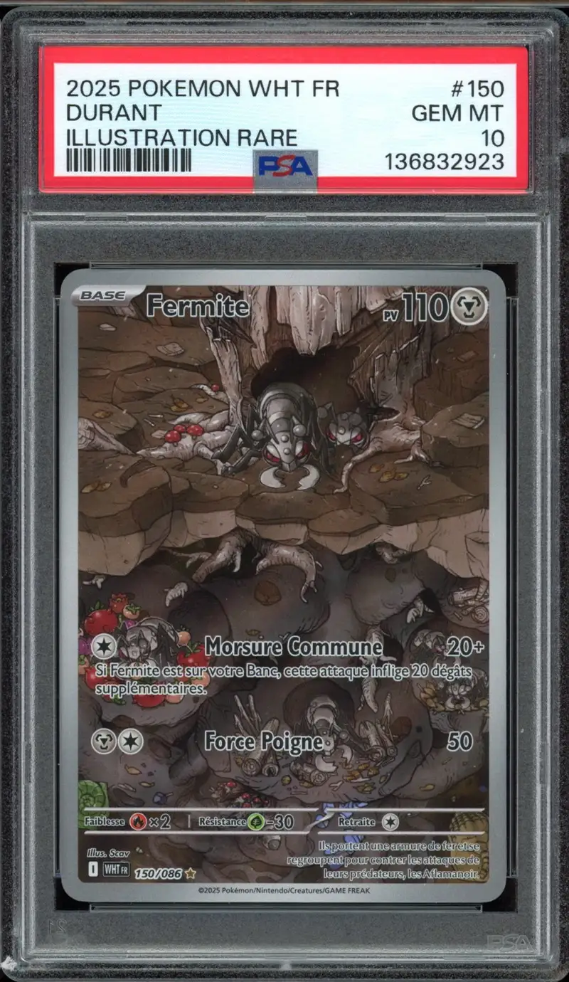 PSA 10 Fermite