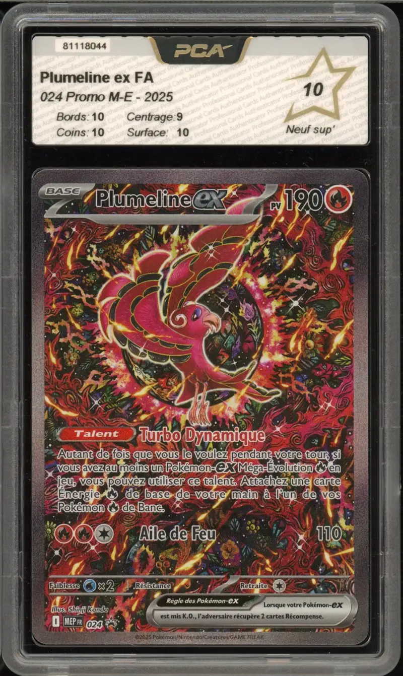 PCA 10 Plumeline Ex